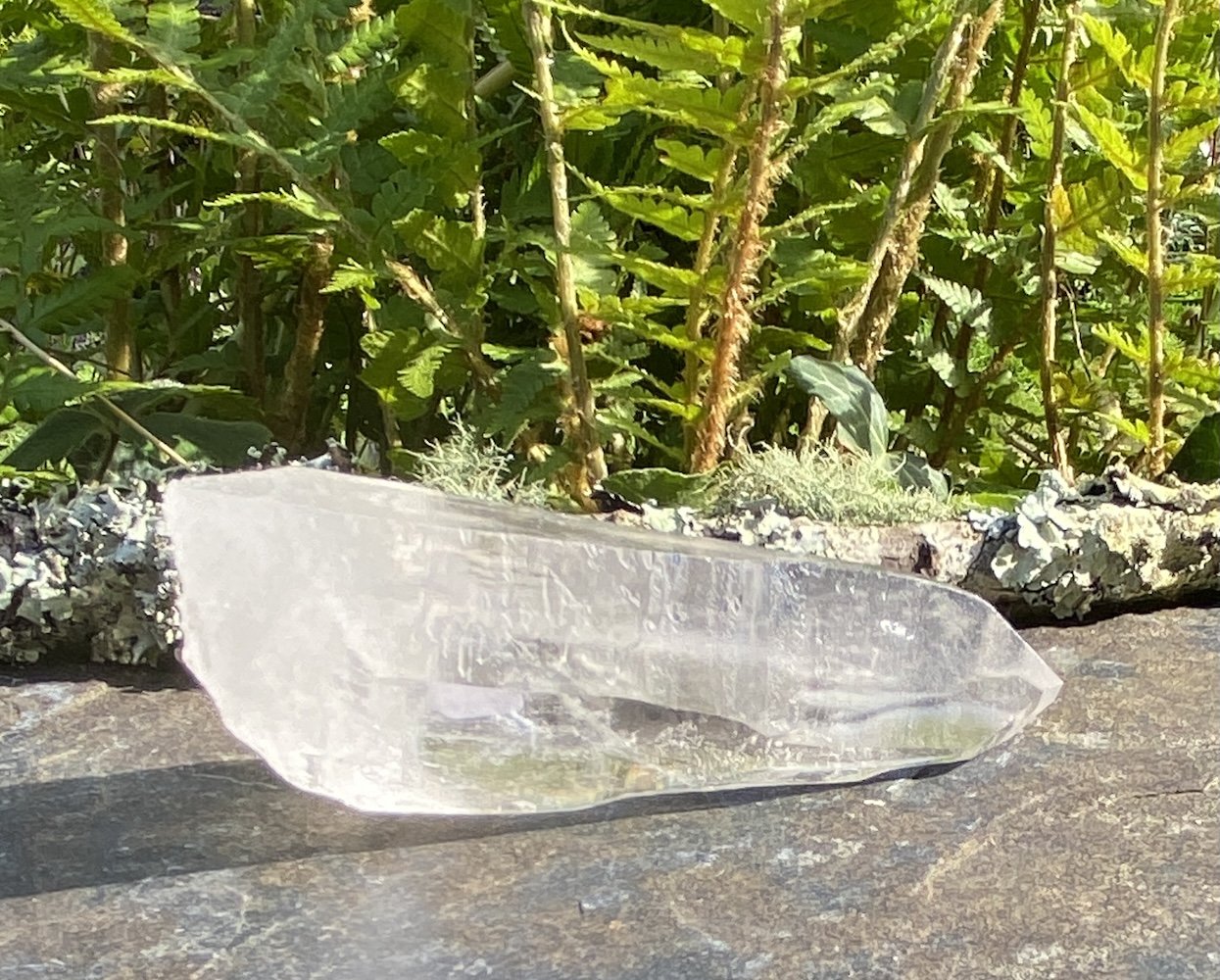 Lemurian L12.JPG