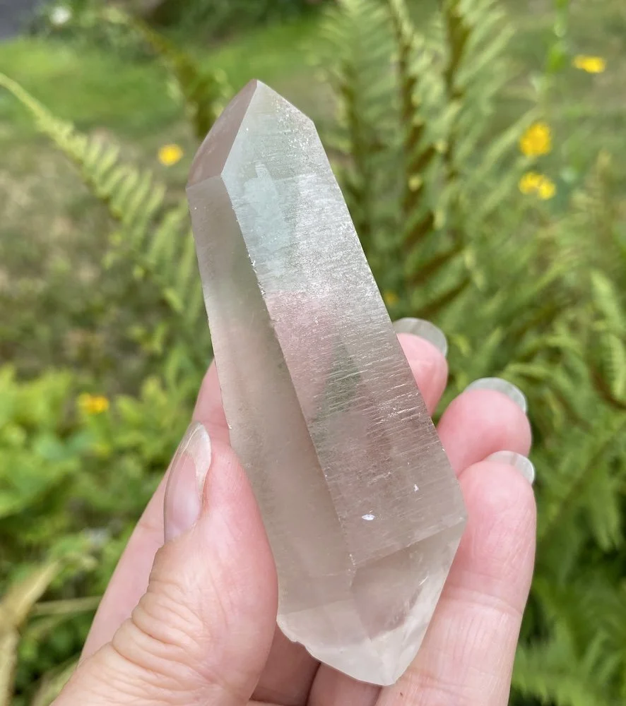 Lemurian L2 £387.JPG