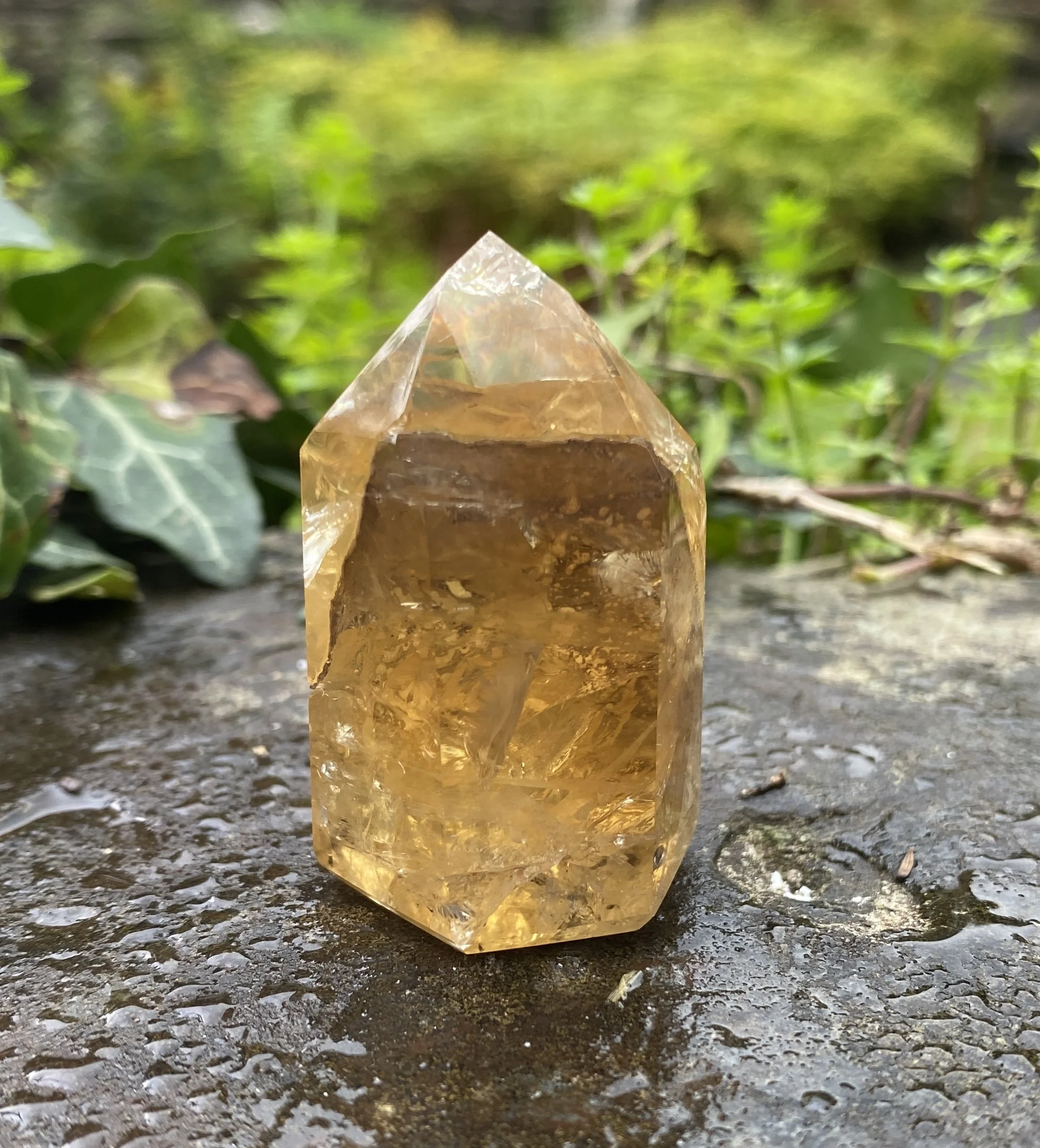 @2 Citrine standing 49g3.JPG