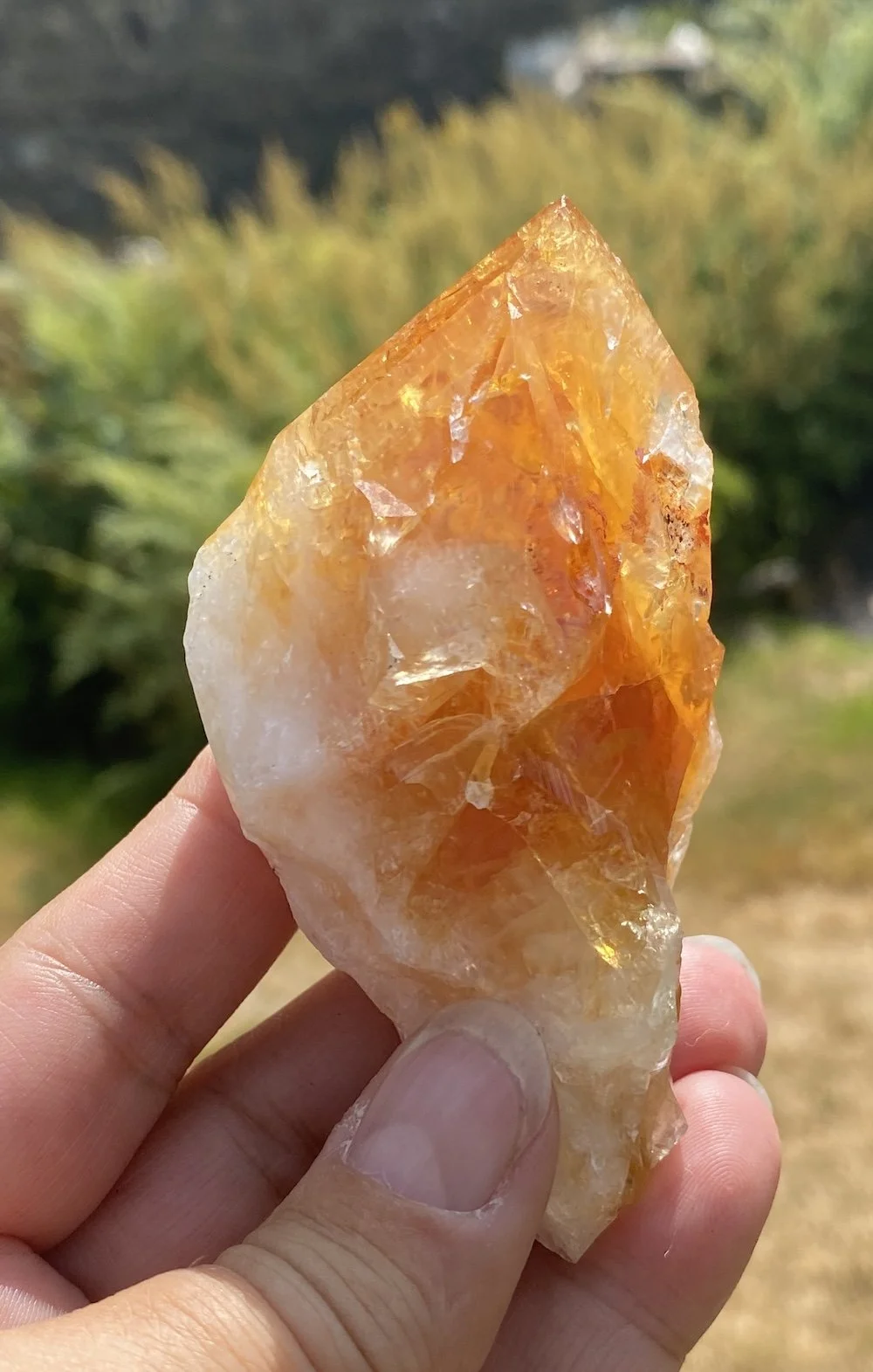 Citrine points9.JPG