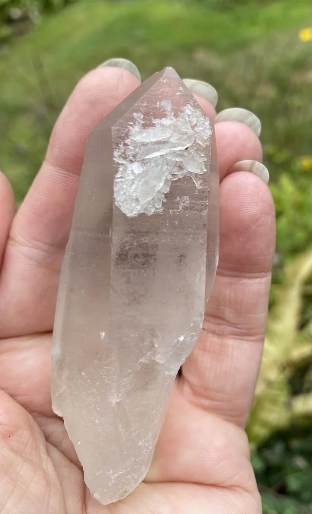 Lemurian S1 £326.JPG