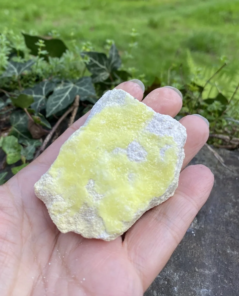 Sulphur12.JPG