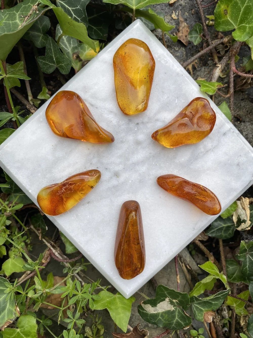 1 Amber17.JPG