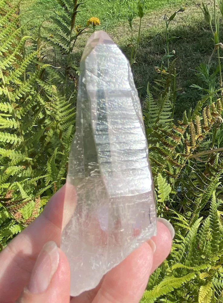 Lemurian L16.JPG