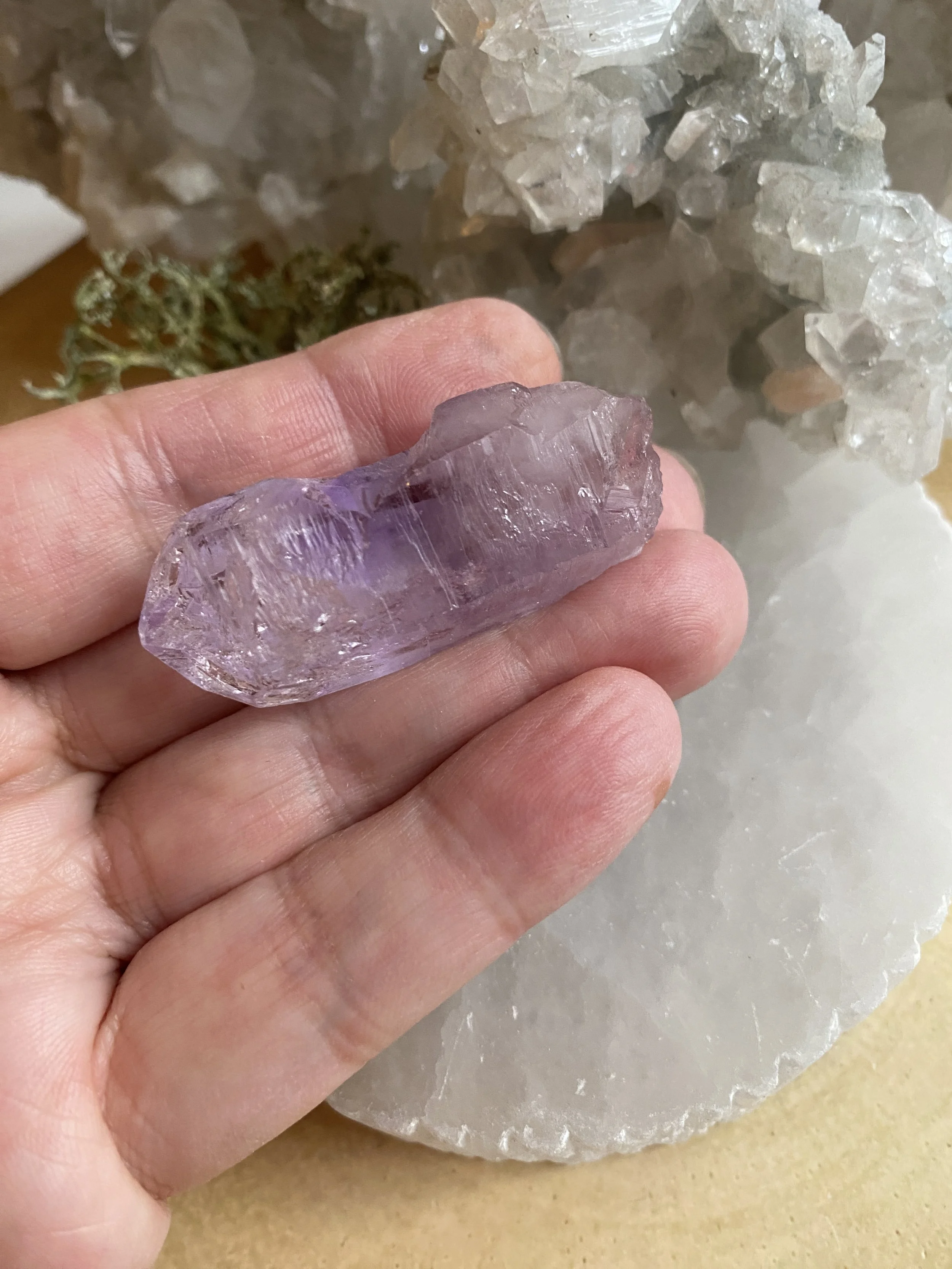 UPLOAD VERA CRUZ 14.JPG