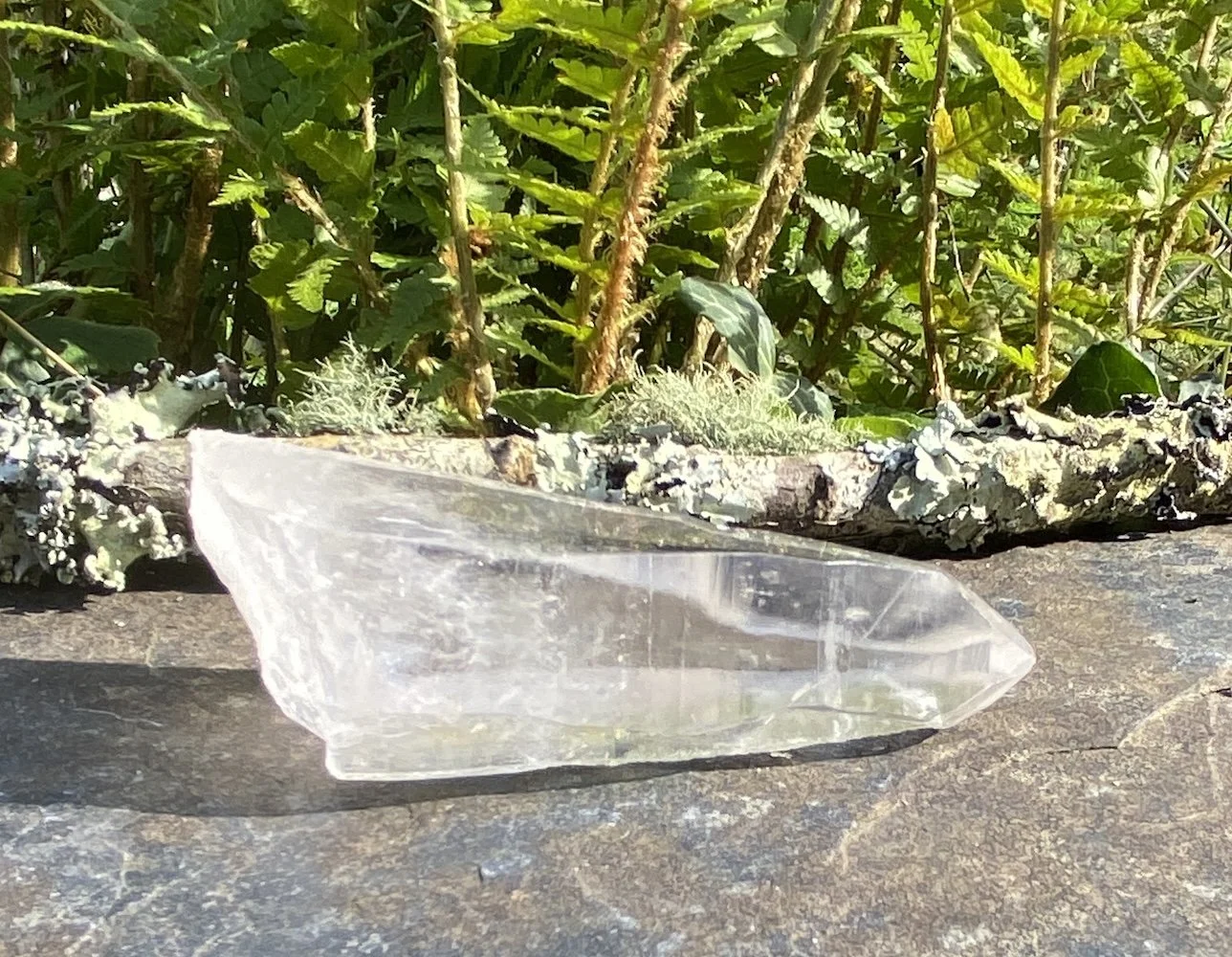 Lemurian L11.JPG