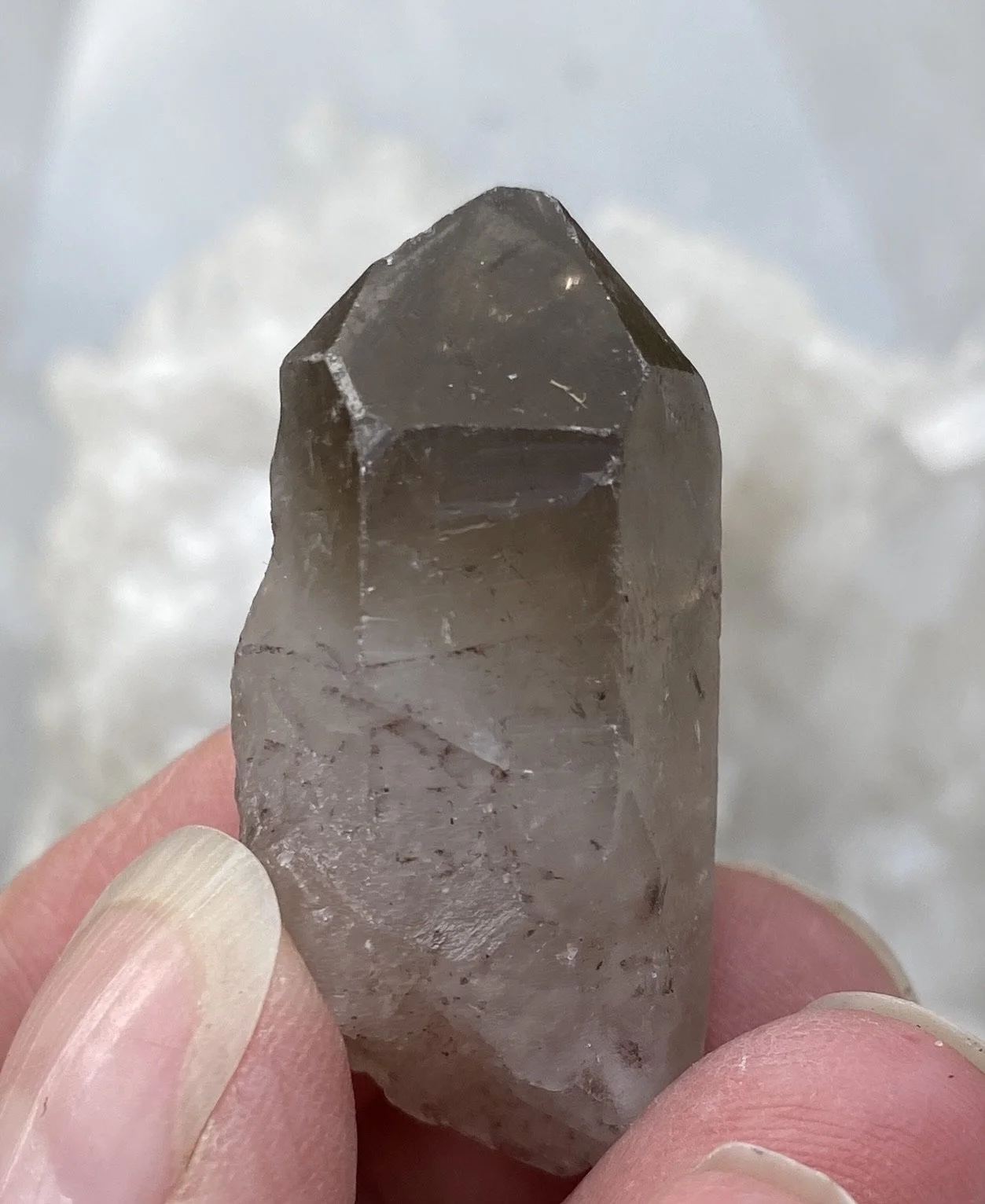 Old Smoky twenty six2.JPG