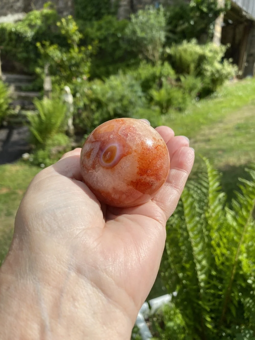 Carnelian 7 £394.JPG