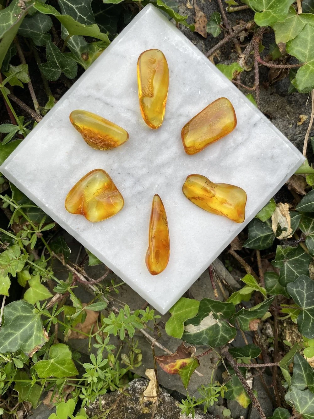 1 Amber3.JPG