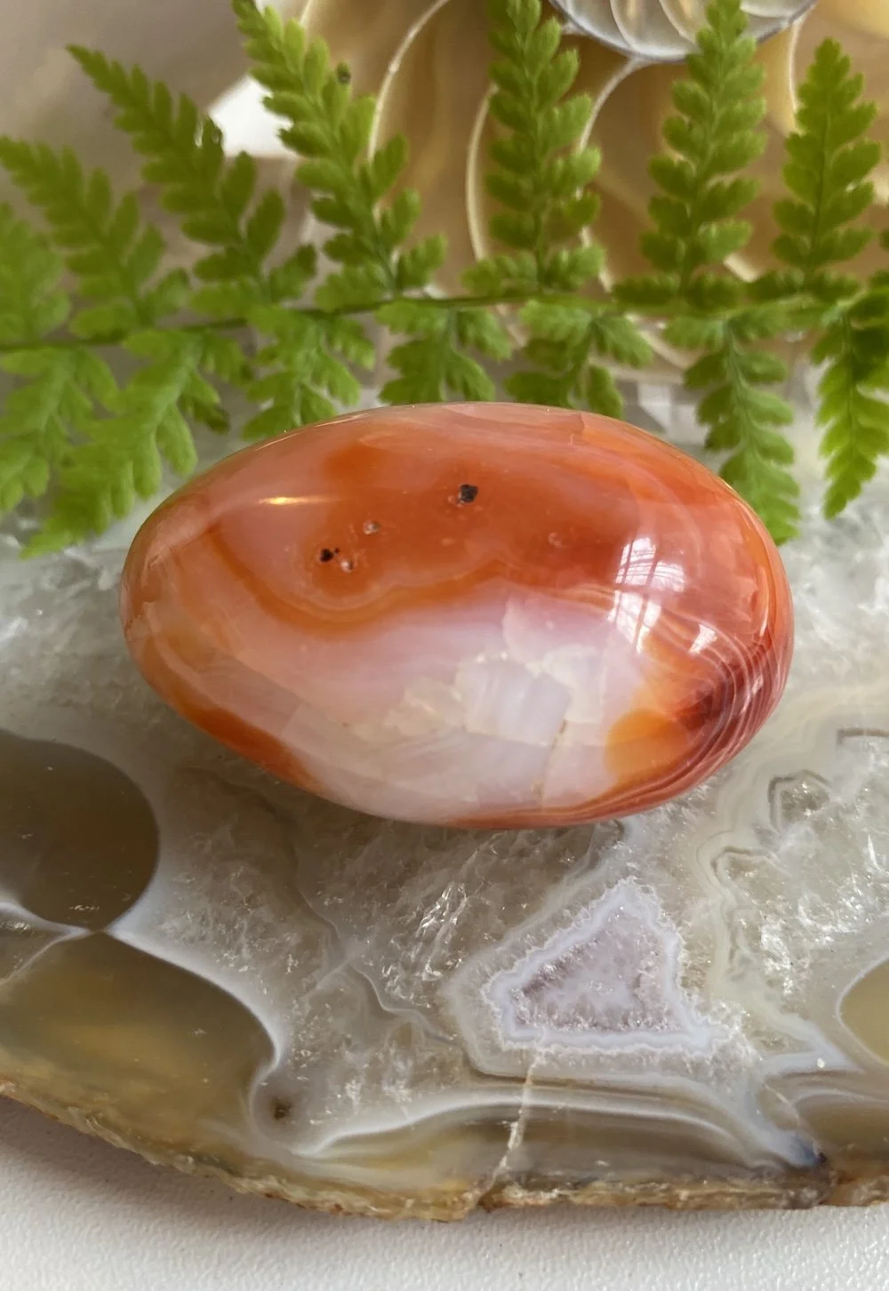 CARNELIAN11.JPG