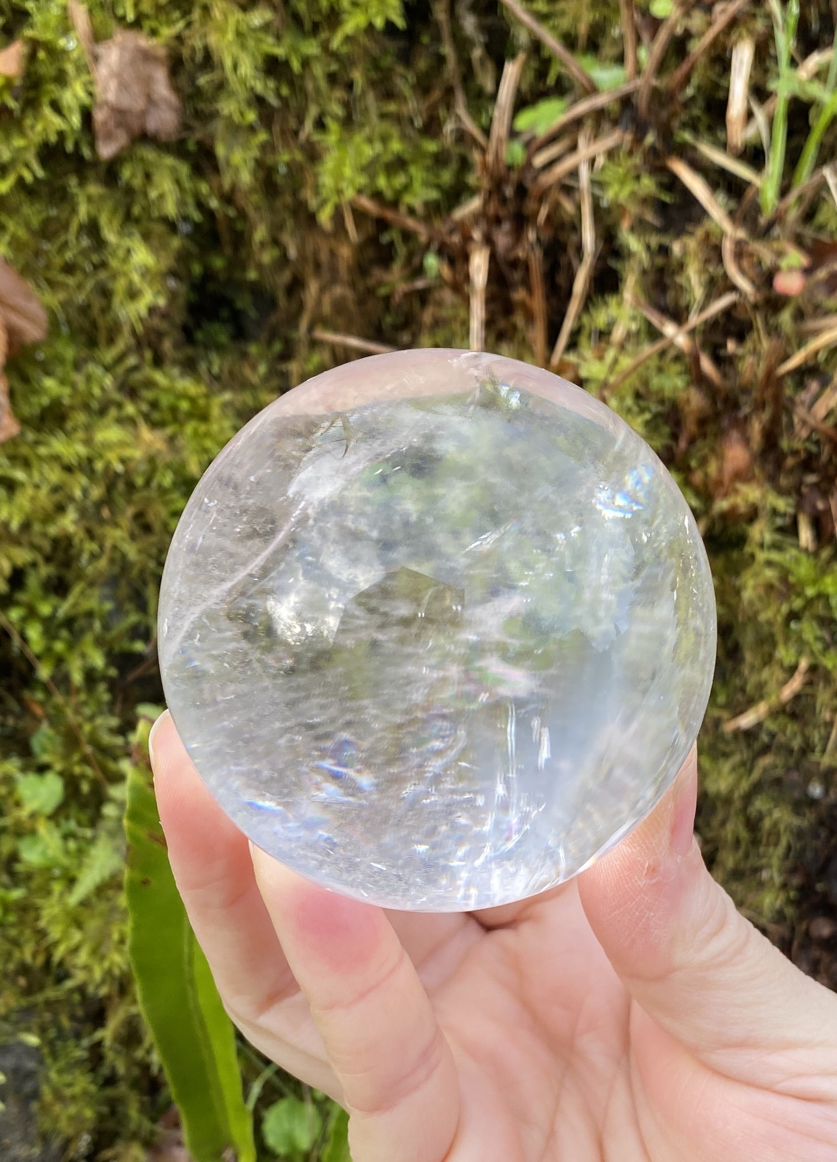 Lemurian 5A £2801.JPG