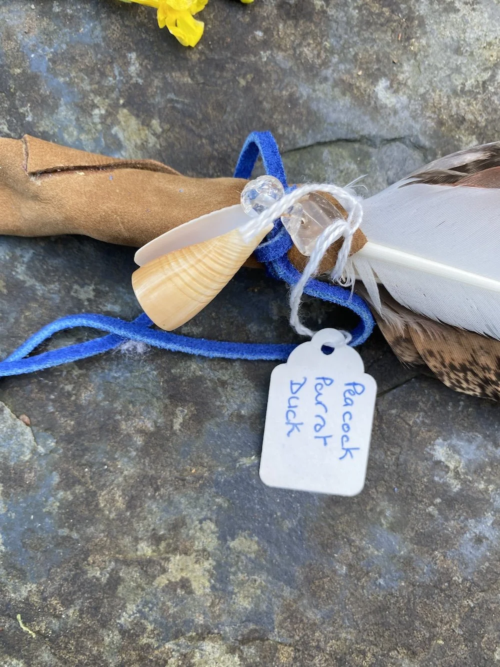 2024 12 Dec Linda's new feathers8.JPG