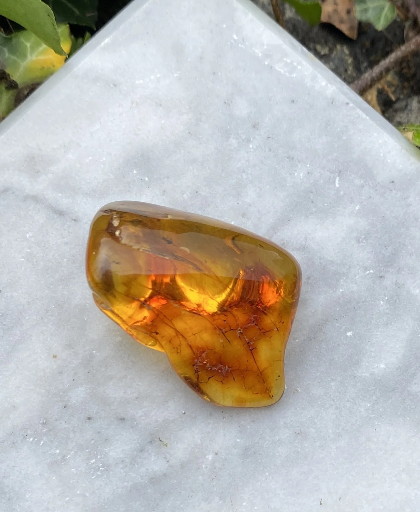 1 Amber 6G2.JPG