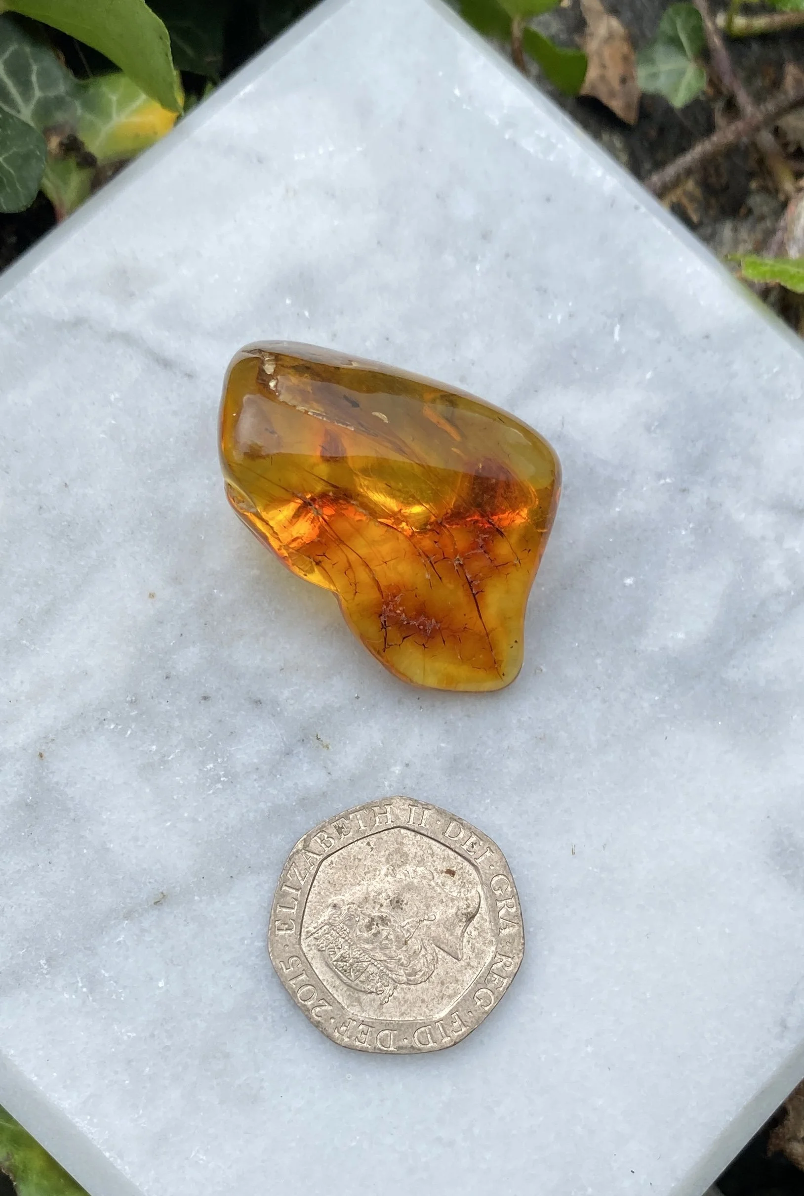 1 Amber 6G3.JPG