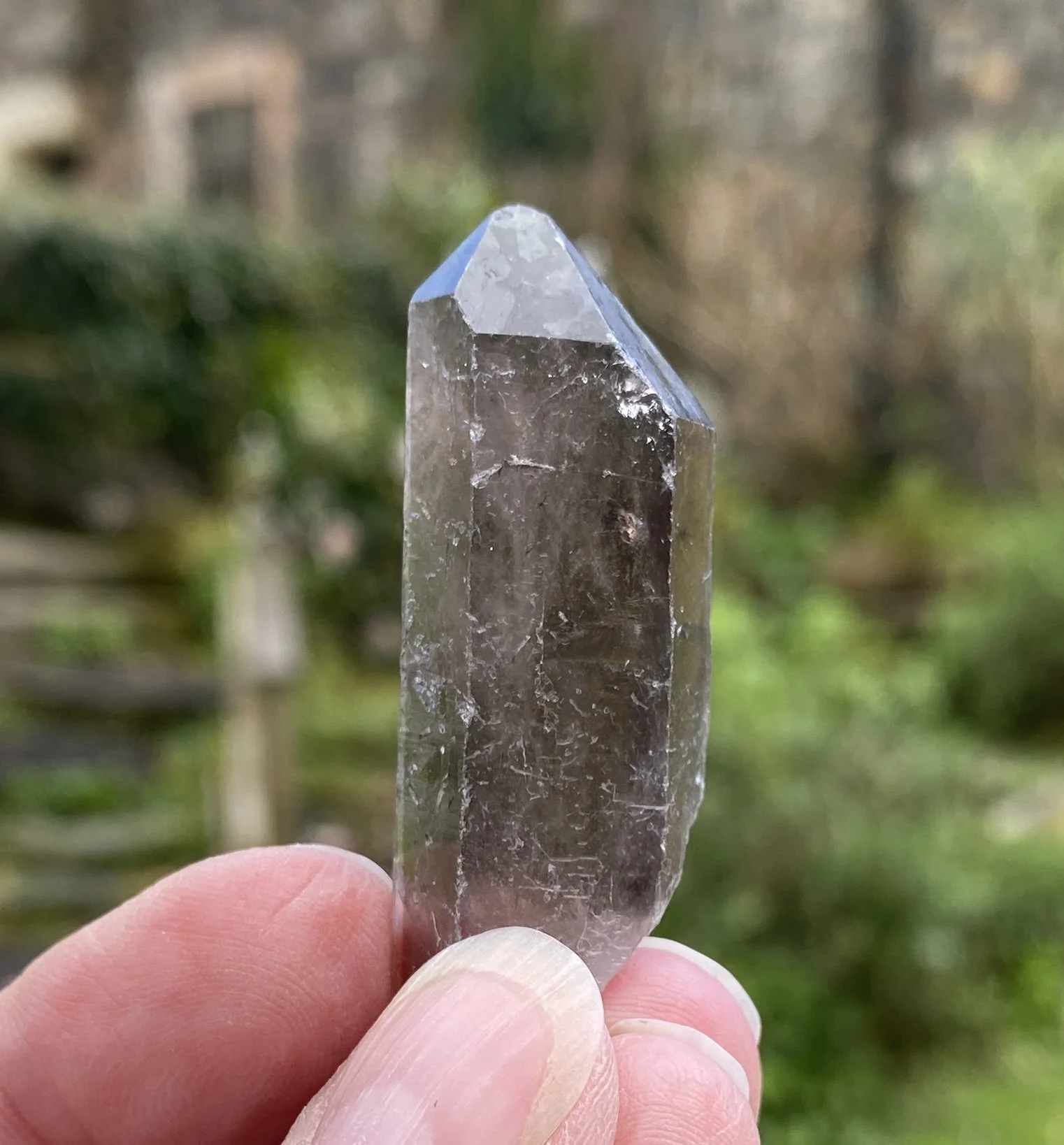 Old Smoky seventeen.JPG