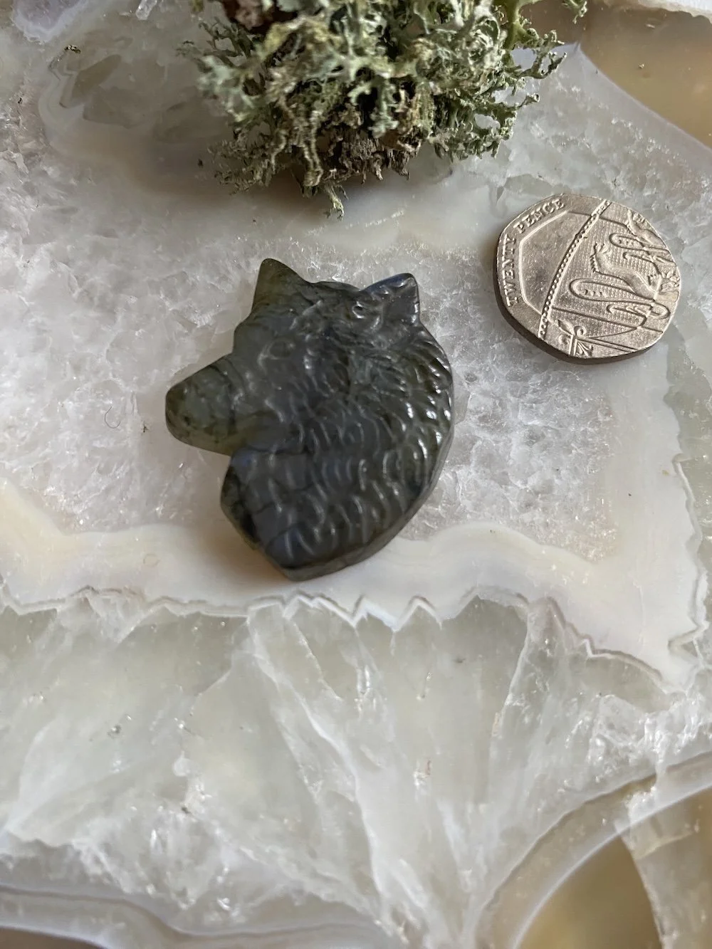 Labradorite Wolf1.JPG