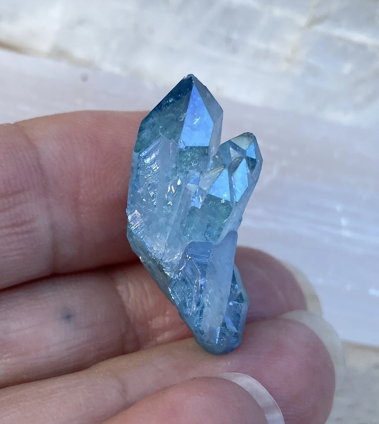Aqua Aura 64.JPG
