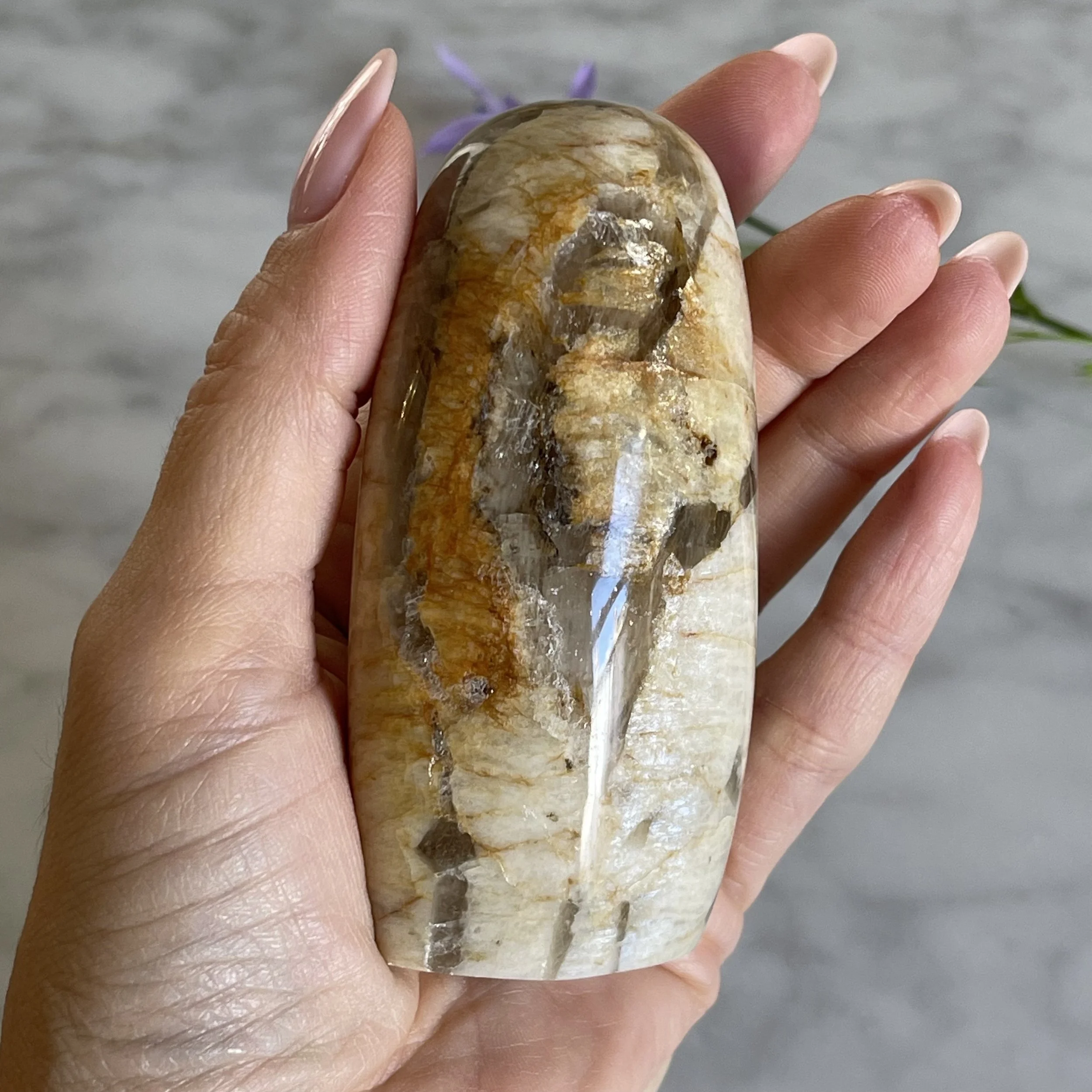 Smoky Quartz in Moonstone Pebble Freeform