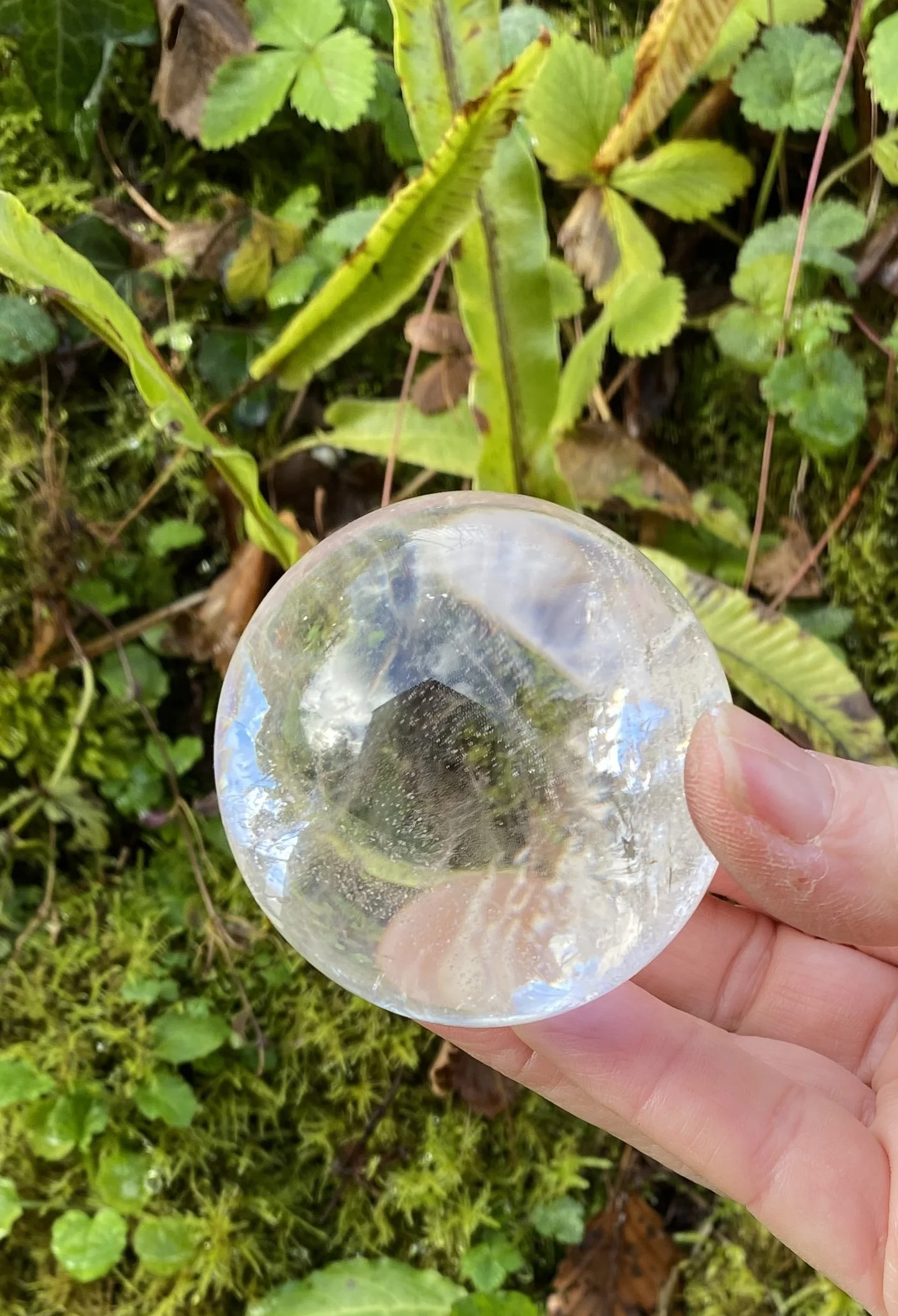 Lemurian 6A £1503.JPG