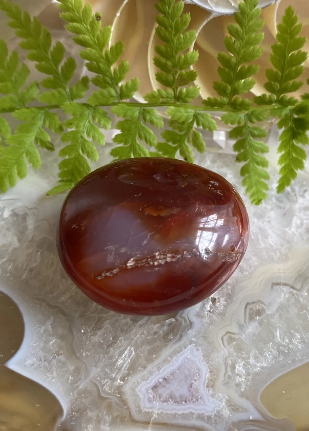 CARNELIAN18.JPG