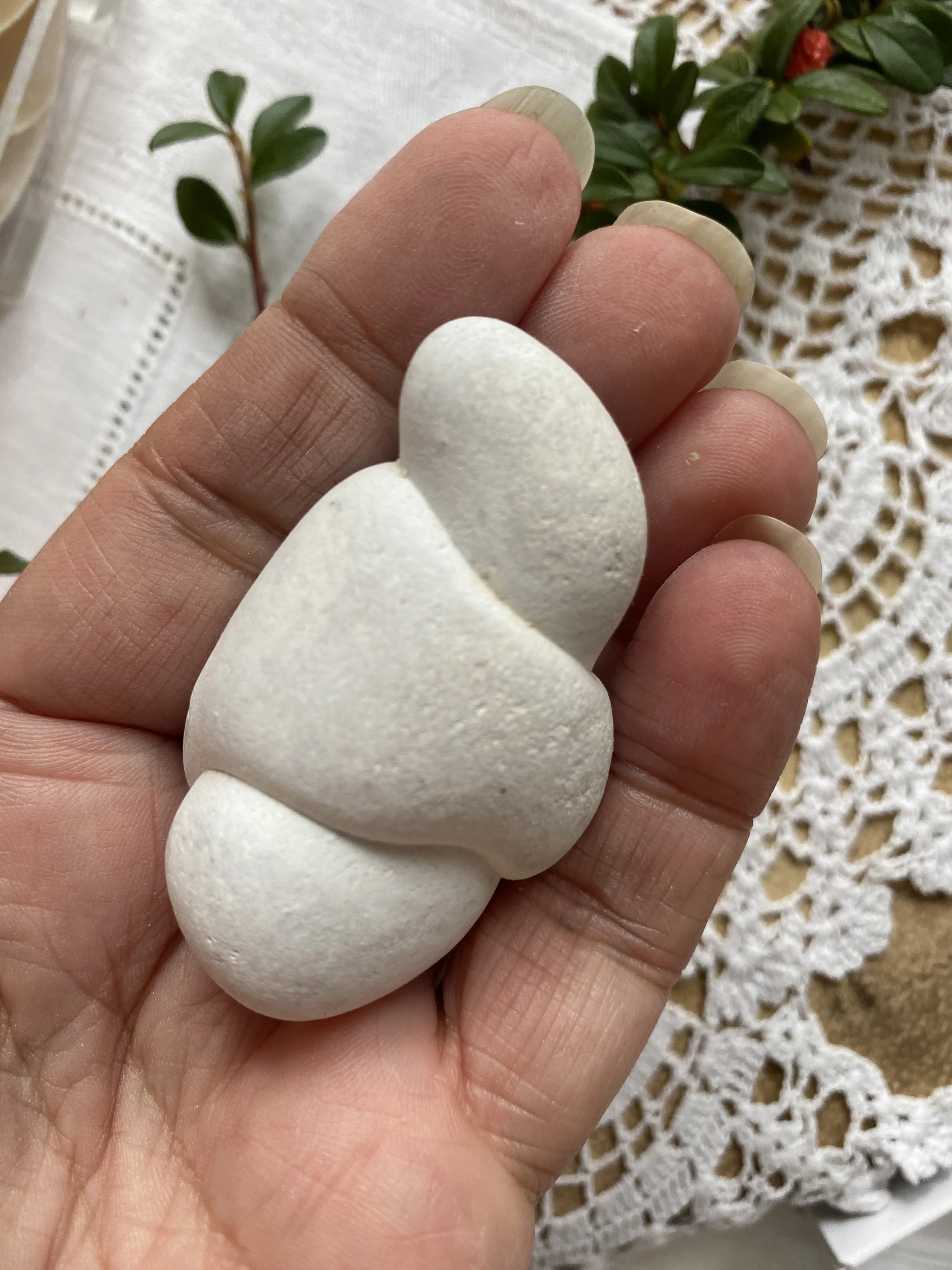 v3tTq.jpeg