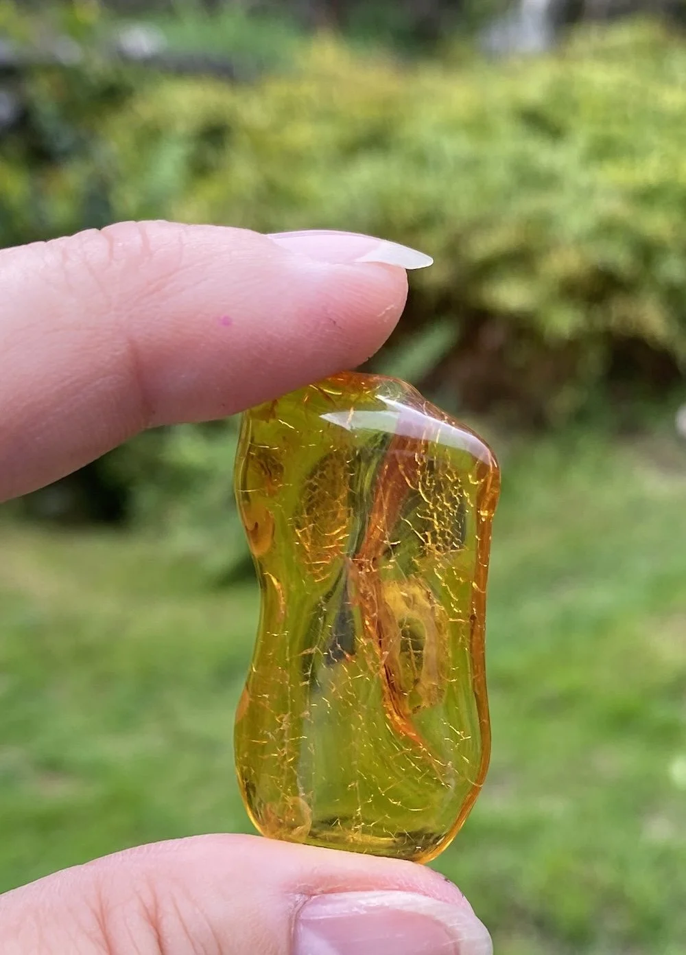 Amber 5.06G10.JPG