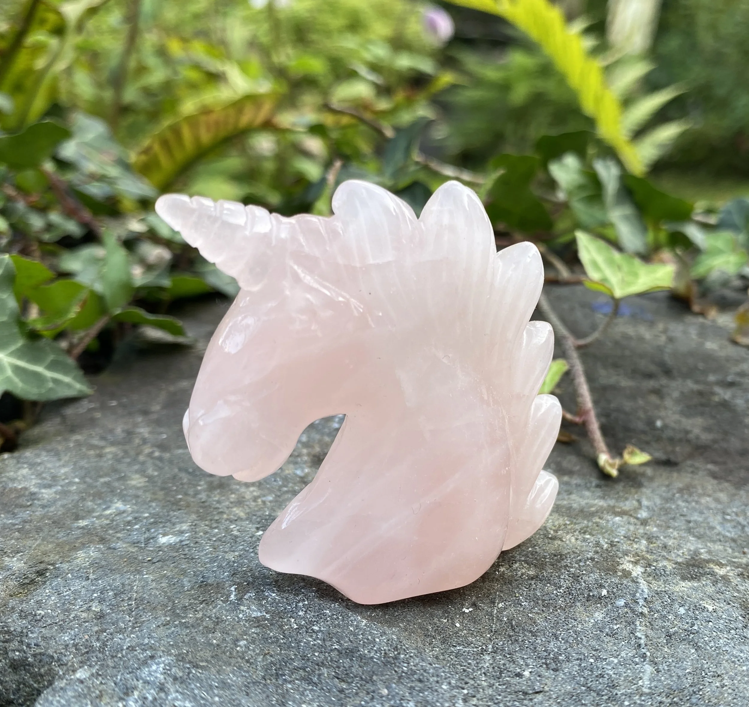 ZZ Unicorn Rose Quartz1.JPG