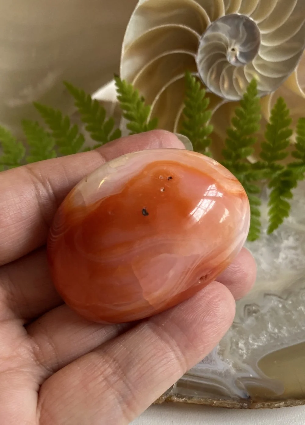 CARNELIAN13.JPG