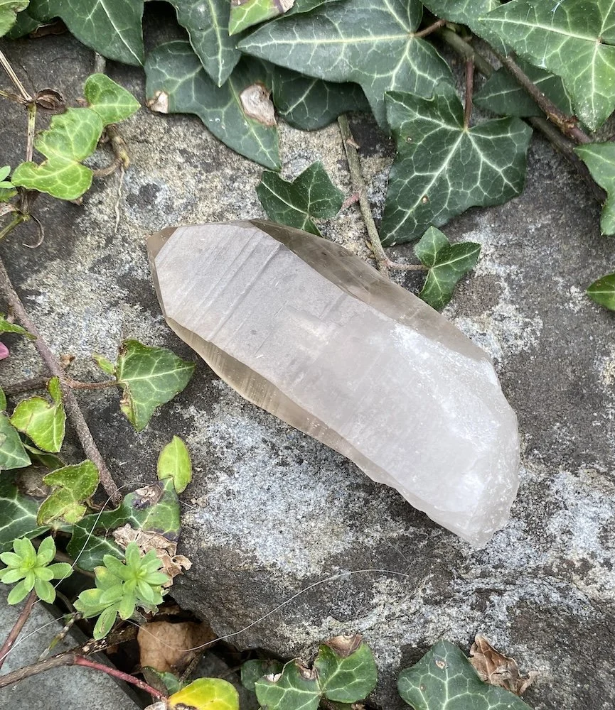 Lemurian D1 £321.JPG