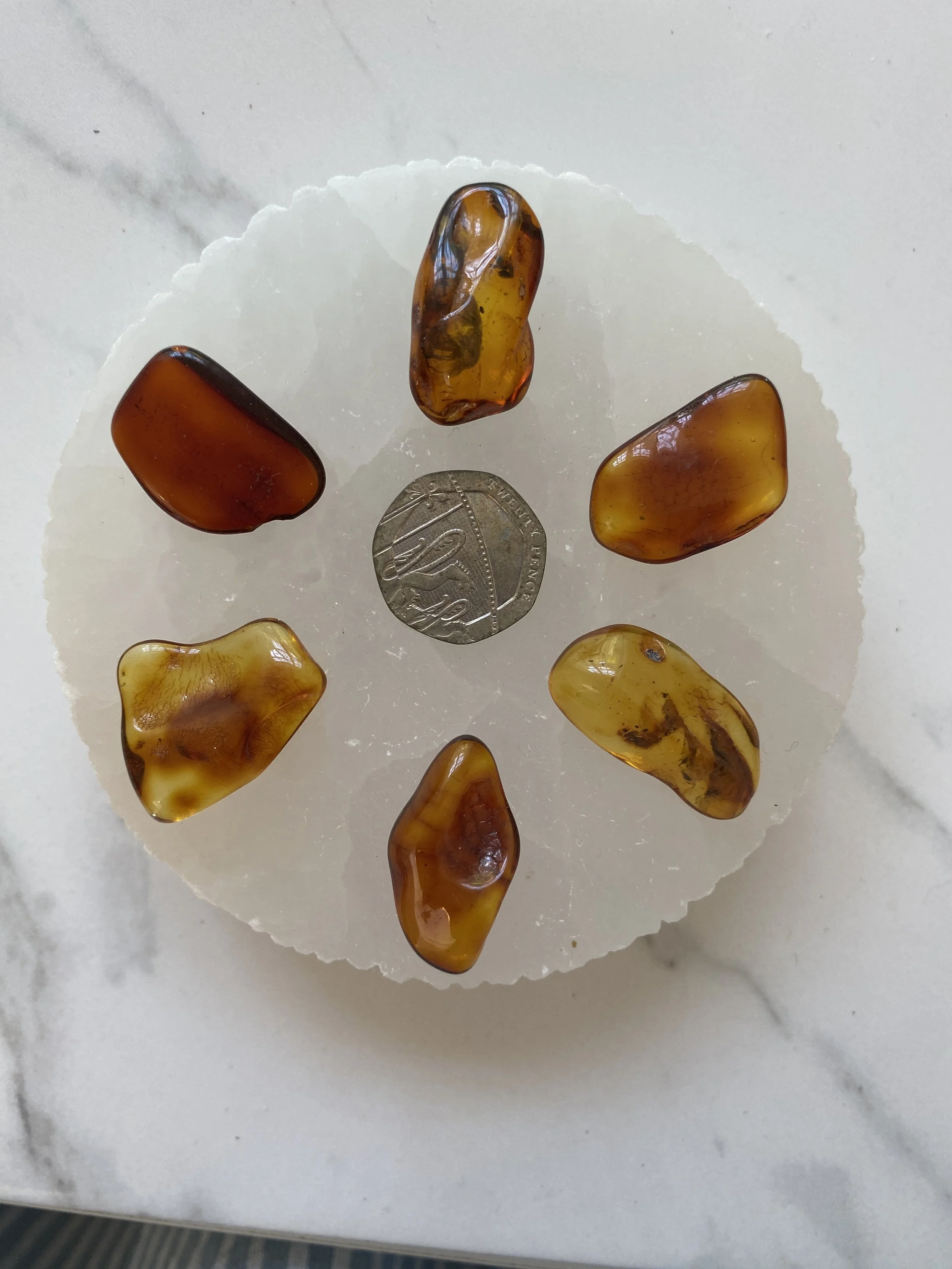 Amber Gridset 8