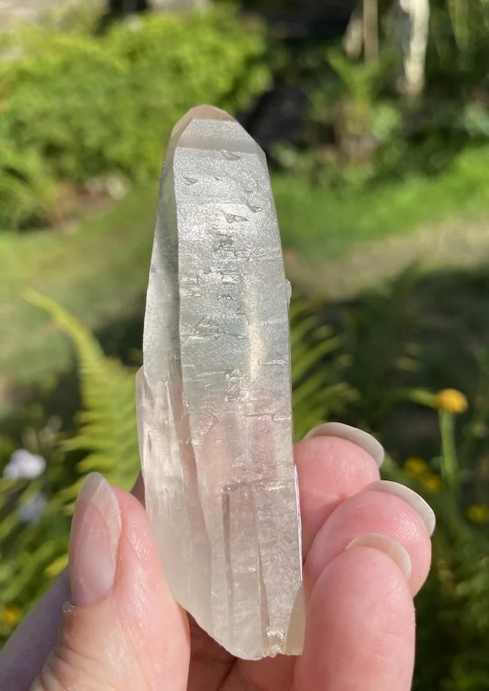 Lemurian7.JPG