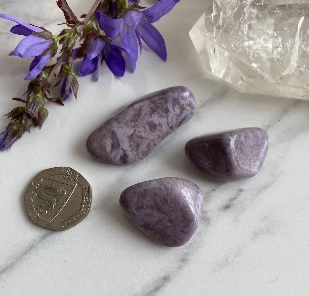 Purple Jade2.JPG