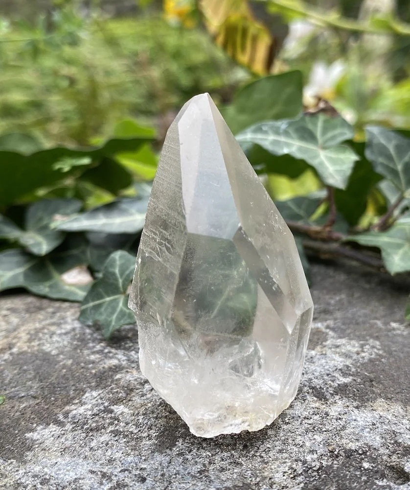 Lemurian £153.JPG