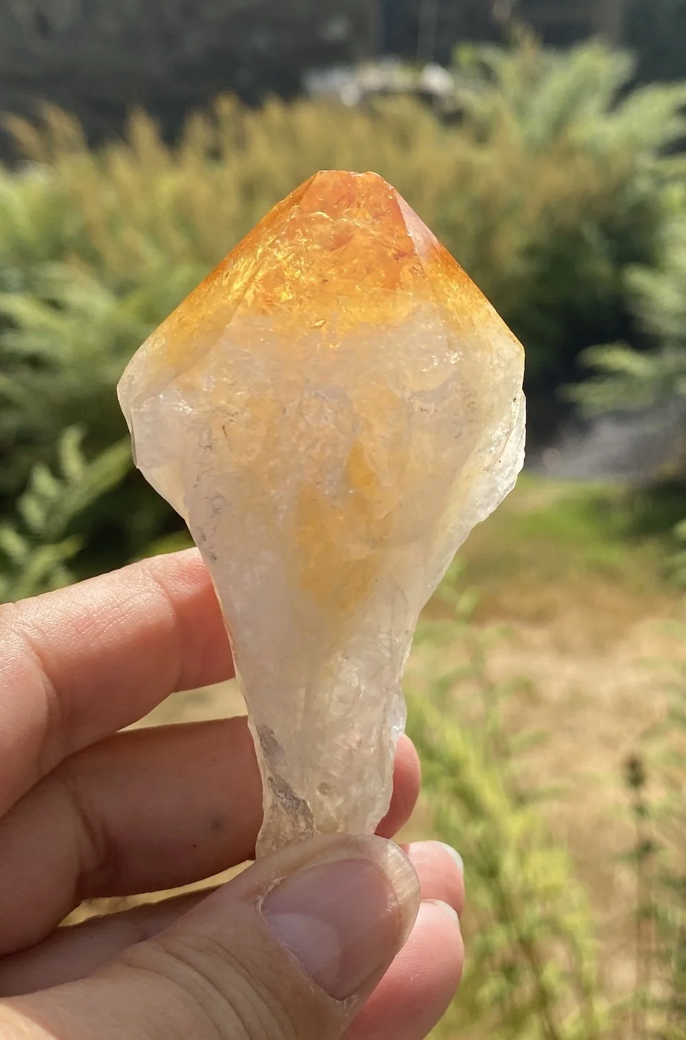 Citrine points18.JPG