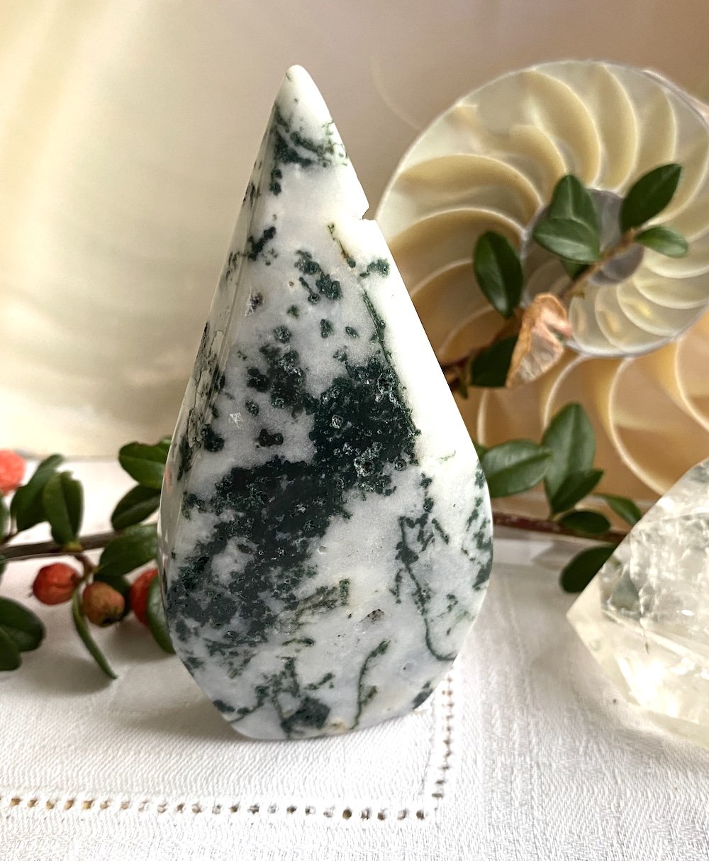 IMG_4386.JPG