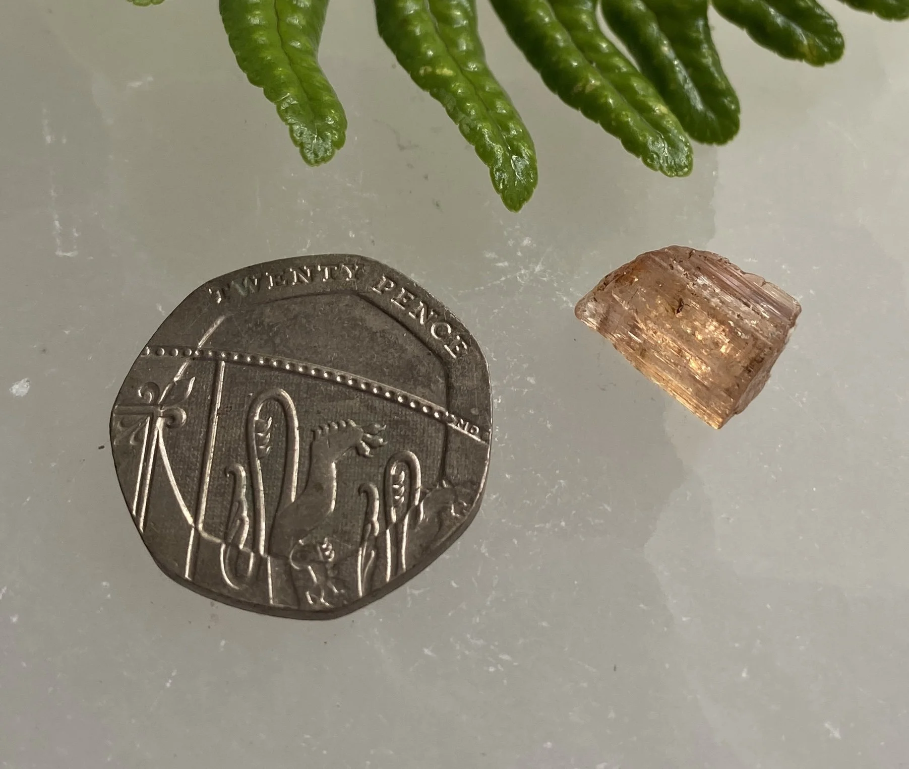 Topaz 92.JPG