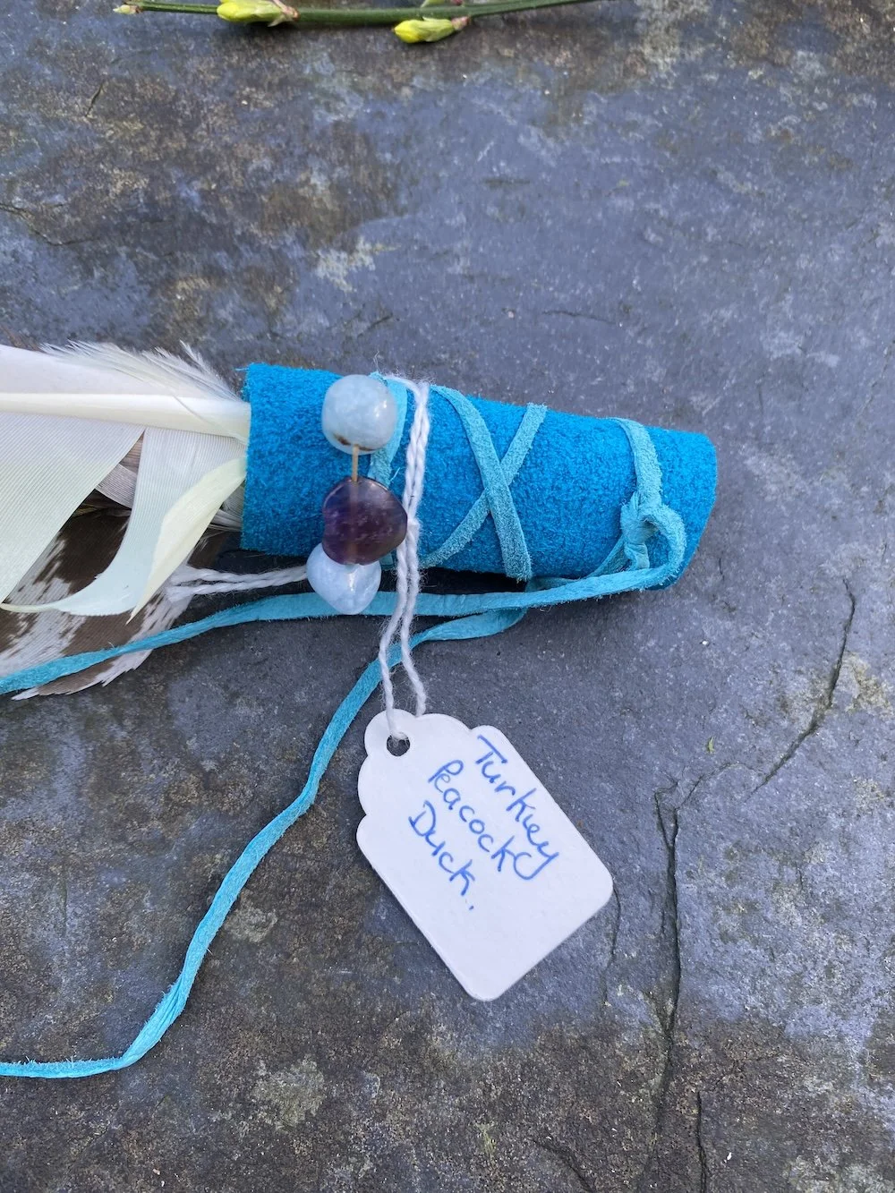 2024 12 Dec Linda's new feathers6.JPG