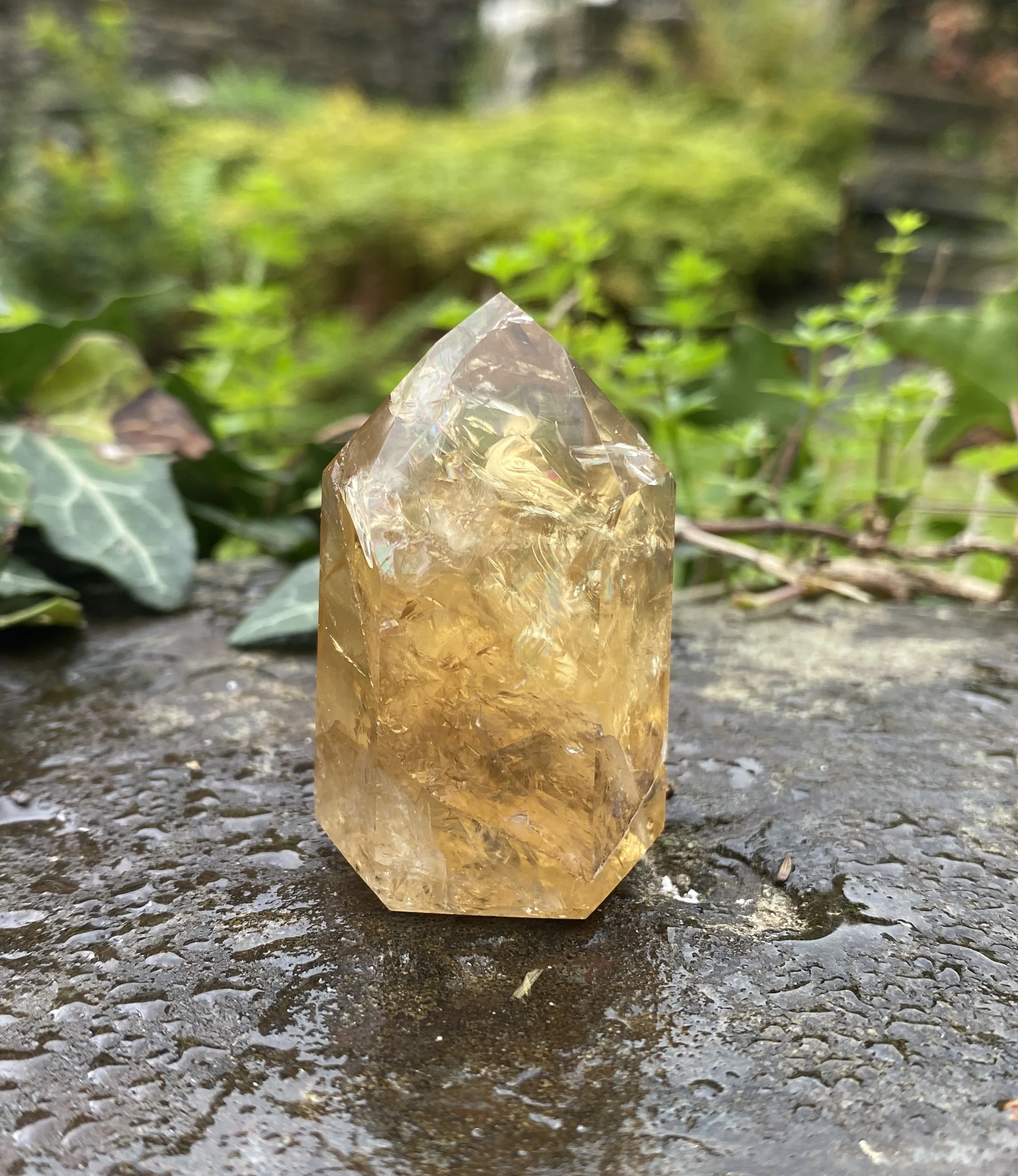 @2 Citrine standing 49g2.JPG