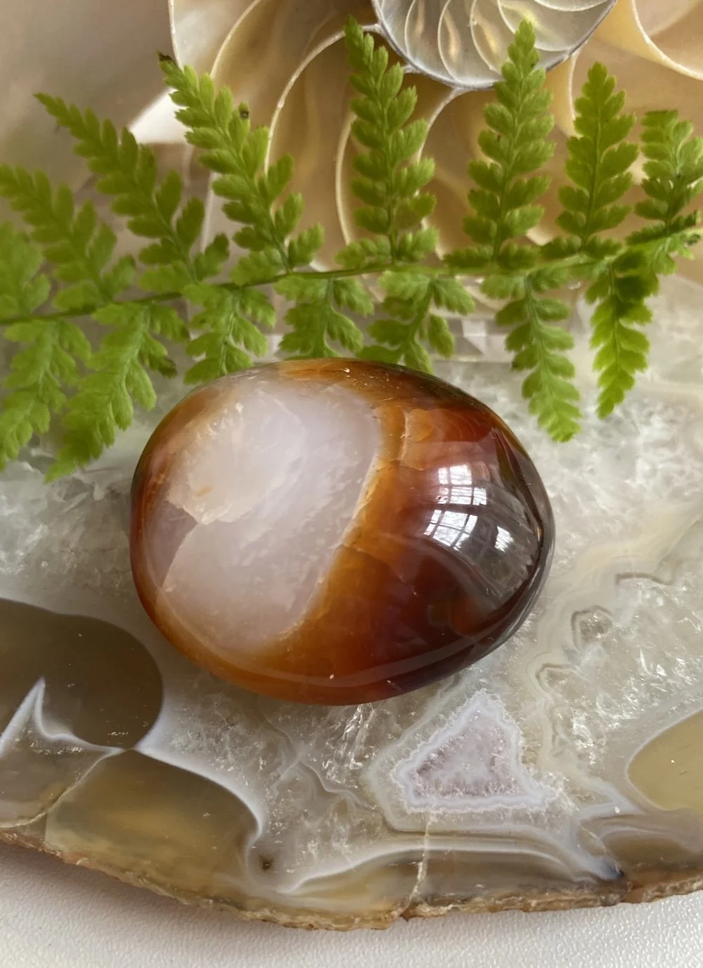 CARNELIAN6.JPG