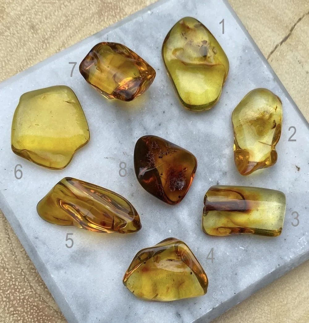 Amber £10 pick copy 2.jpg
