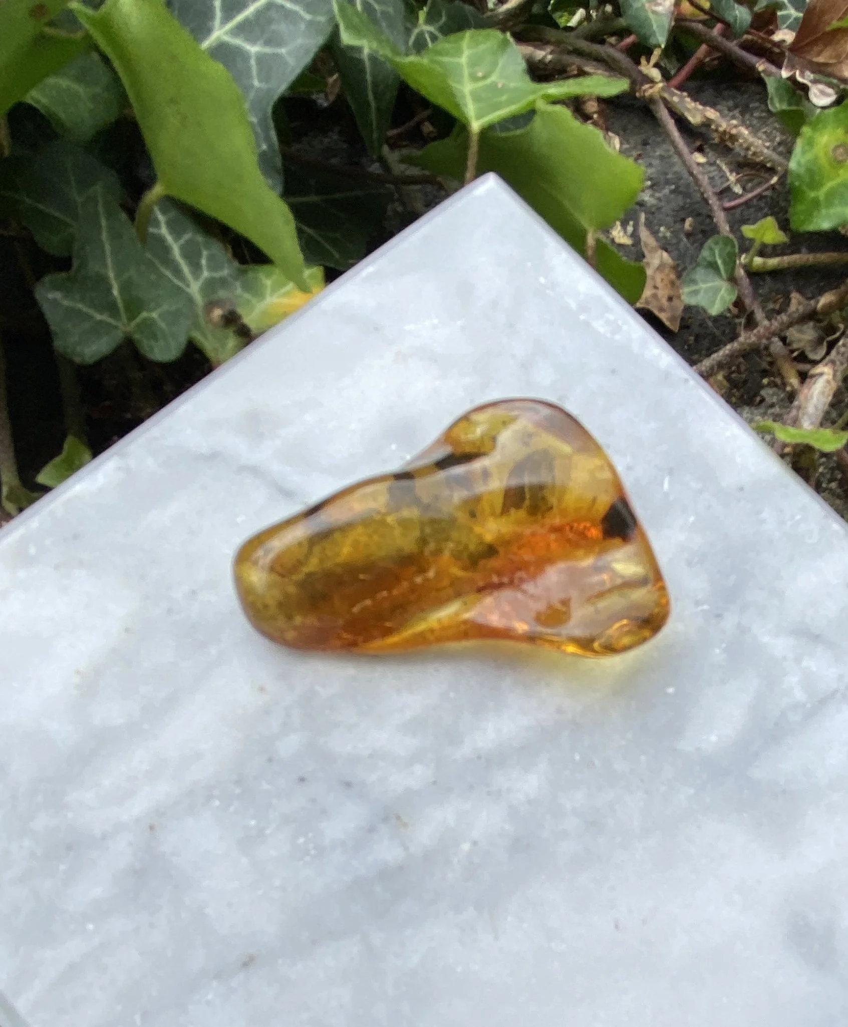 Amber 5.52g1.JPG