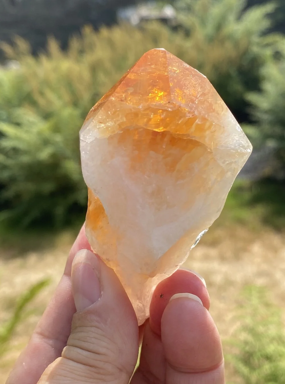 Citrine points24.JPG