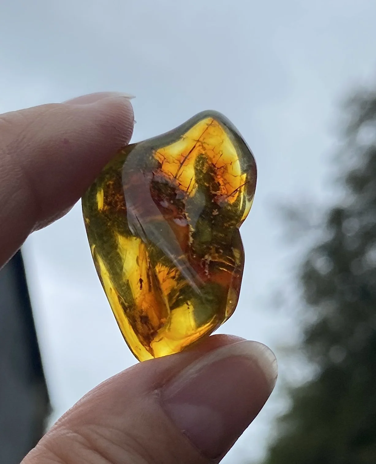 1 Amber 6G.JPG
