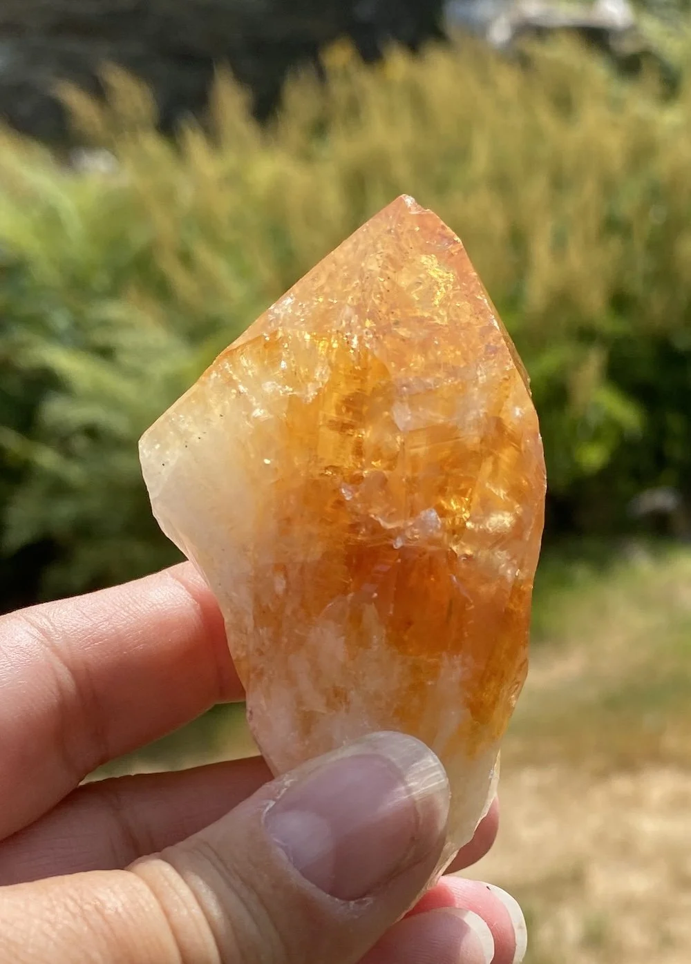 Citrine points15.JPG