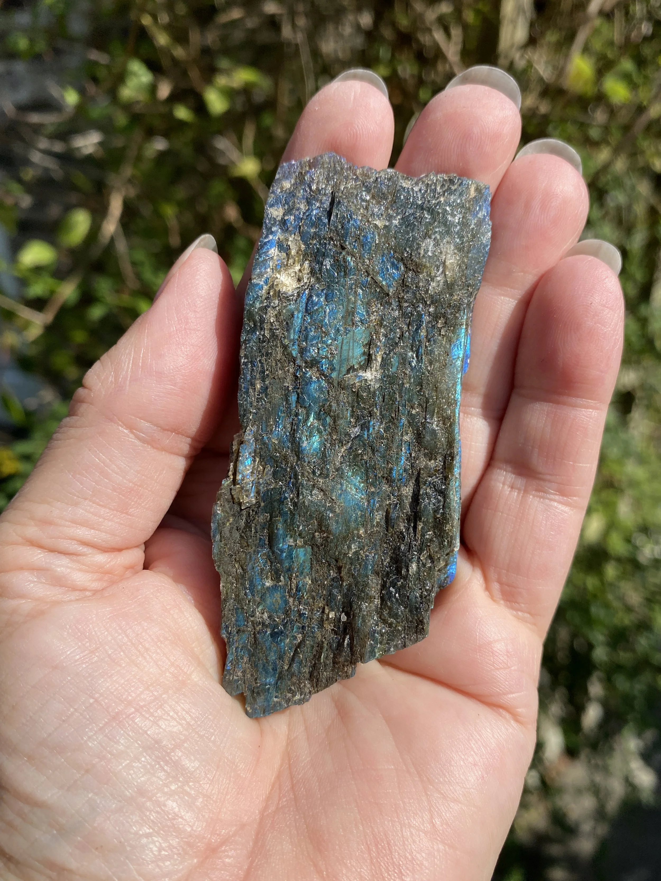 Labradorite 9.JPG