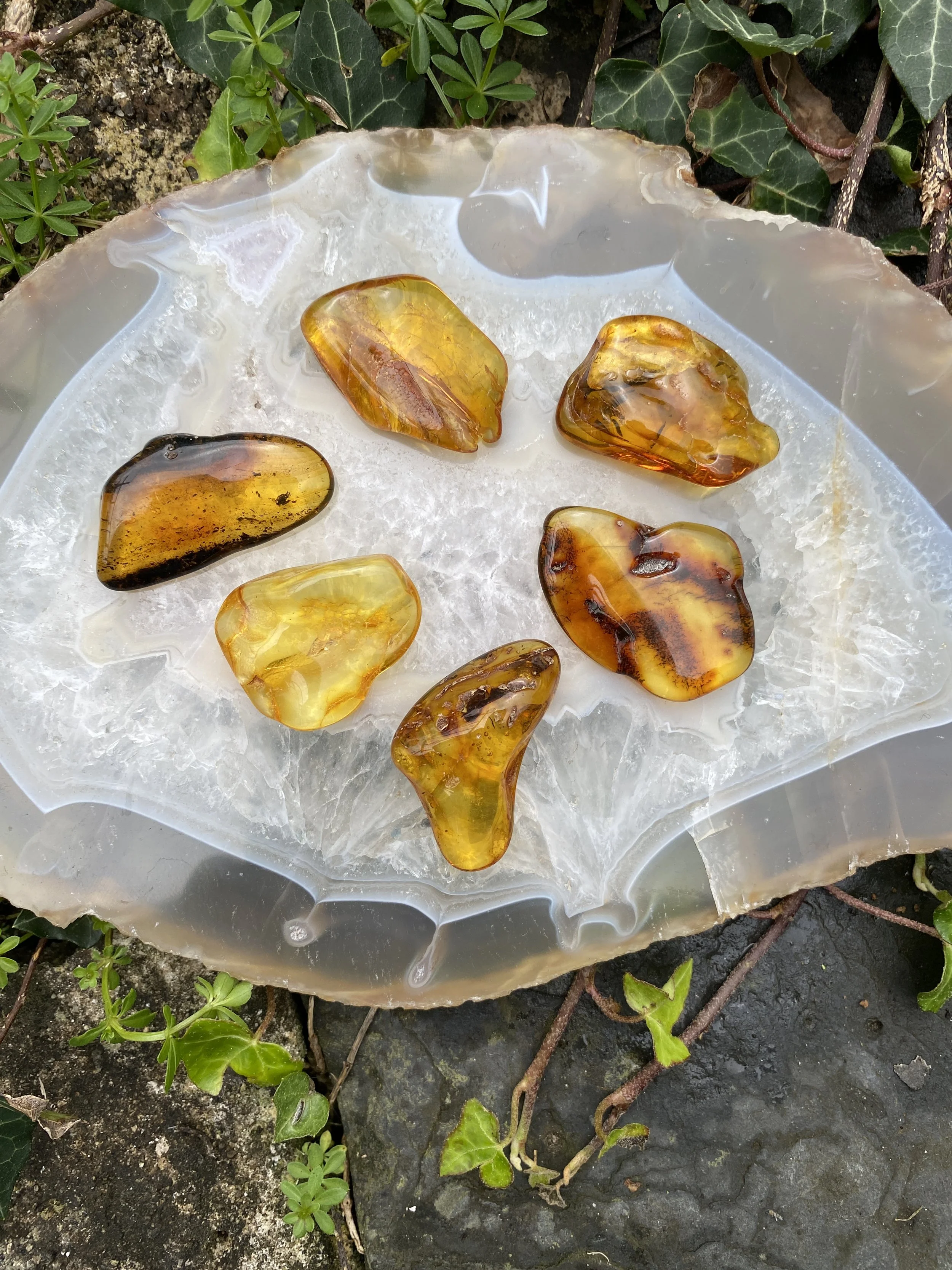@ 1 Amber 6 piece 5-6g1.JPG