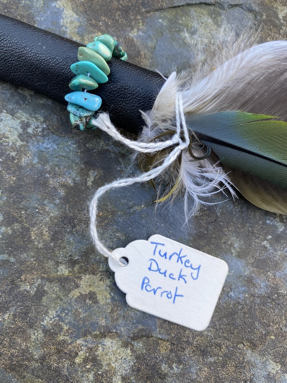 2024 12 Dec Linda's new feathers10.JPG