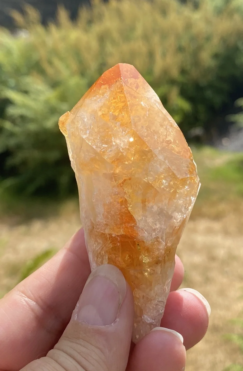 Citrine points12.JPG