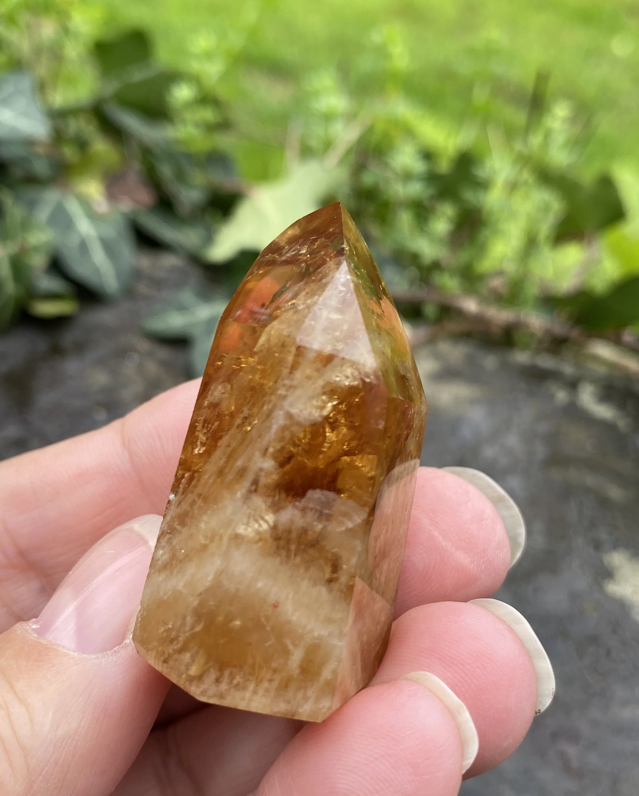@2 Citrine standing 34g8.JPG