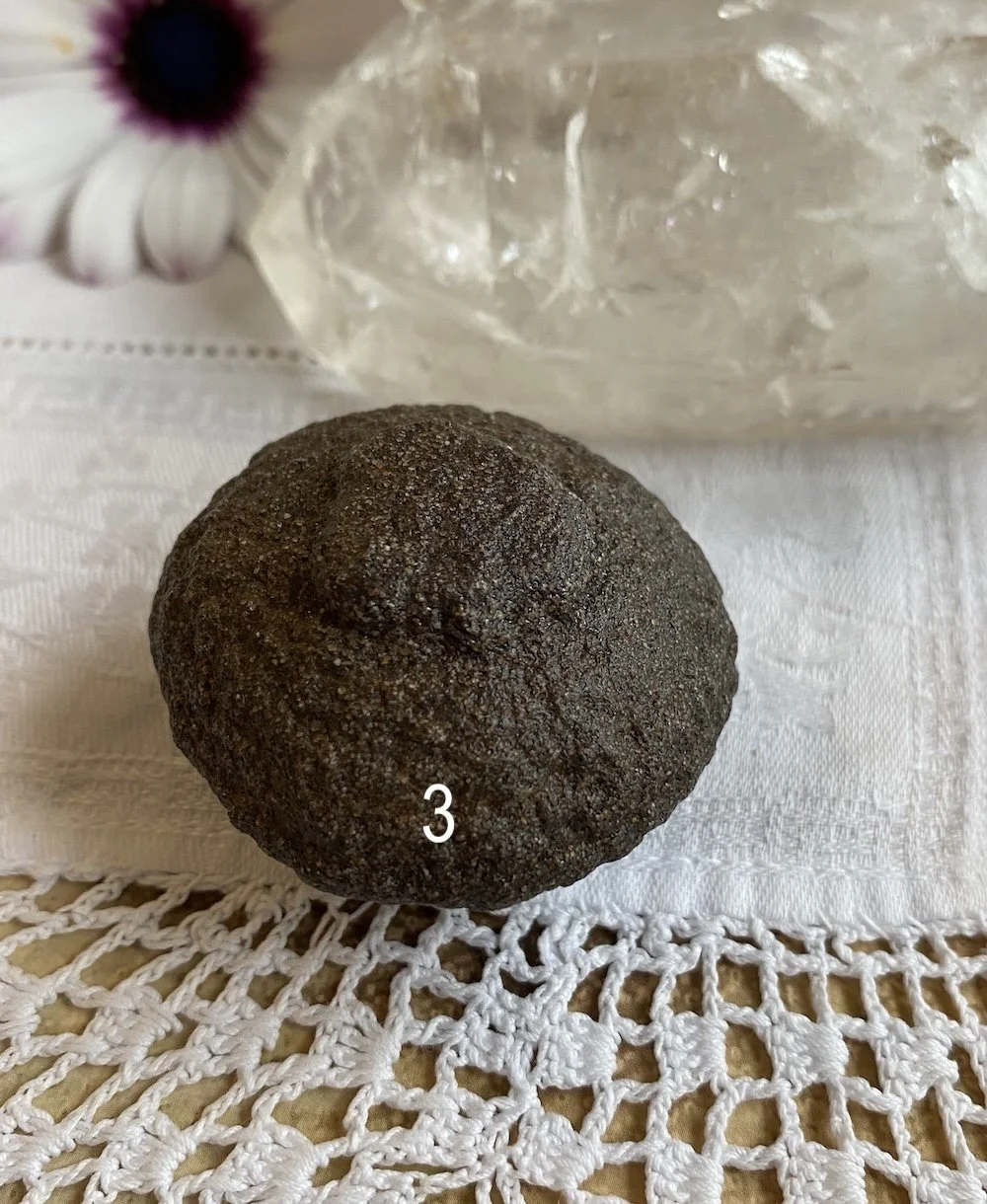 Mochi 31.JPG